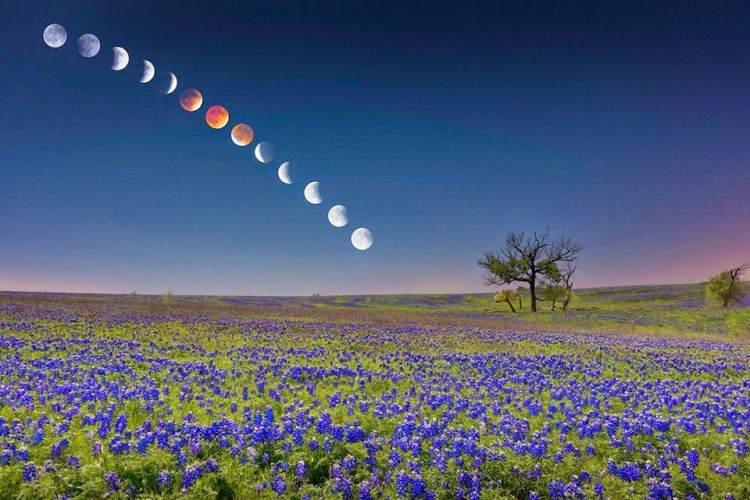 Jacob Perillo - Google+ - WOWEEEEE! #bloodmoon #lunareclipse So we have seen some…